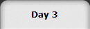 Day 3
